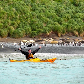 tourhub | Heritage Expeditions | Galapagos of the Southern Ocean 