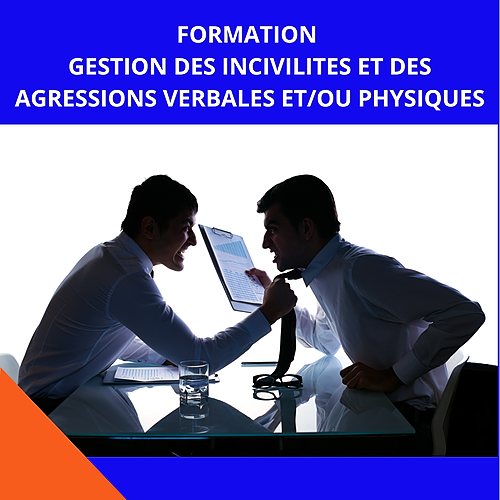 Représentation de la formation : GESTION DES INCIVILITES ET DES AGRESSIONS VERBALES ET/OU PHYSIQUES