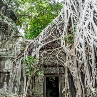 tourhub | Intrepid Travel | Classic Cambodia 