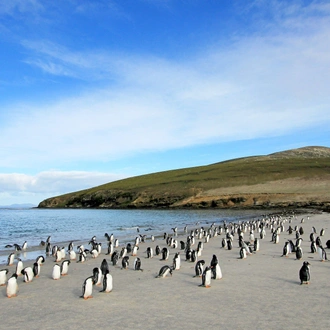 tourhub | Brightwater Holidays | Chile & Falkland Islands 6704 