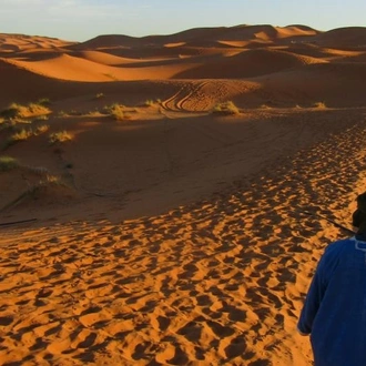 tourhub | Julia Travel | 10- Days Tour The Great Desert, Morocco 