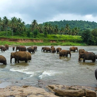 tourhub | Bamba Travel | Highlights of Sri Lanka 7D/6N 