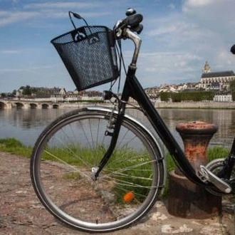 tourhub | UTracks | Cycle the Loire - Orléans to the Atlantic Coast 