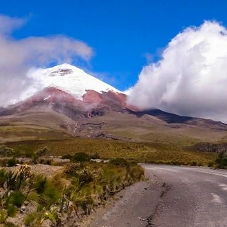 tourhub | G Adventures | Highlands of Ecuador 