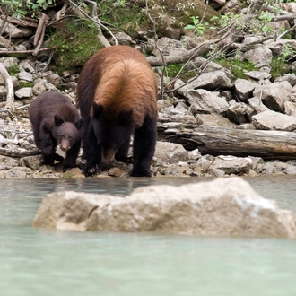 tourhub | Exodus Adventure Travels | Discover the Canadian Rockies: Jasper to Banff 