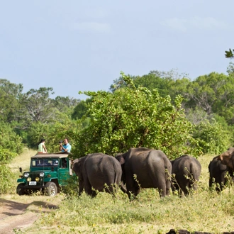 tourhub | Culture Trip | Secrets of Sri Lanka by Train 