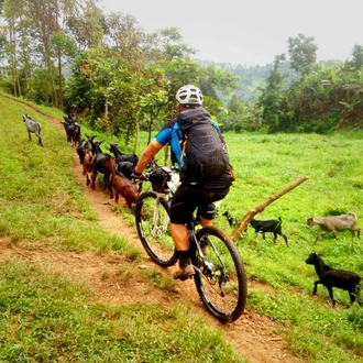 tourhub | SpiceRoads Cycling | Cycling Uganda & Rwanda: The Heart of Africa 