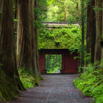 tourhub | YellowWood Adventures | Walking through the traditions & history of Japan 