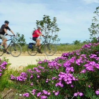 tourhub | Explore! | Cycle Portugal - Lisbon to Algarve 