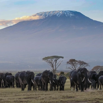 tourhub | Exodus Safaris | 6-Day Kenya Luxury Safari Package: Amboseli, Flight to Masai Mara, Lake Nakuru 