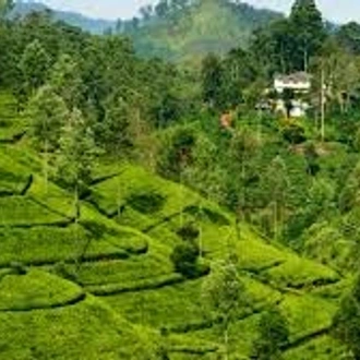 tourhub | Ceylon Travel Dream | 05 Day Tour From Kandy Sri Lanka ( Without Accommodation)  