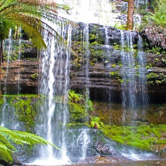 tourhub | AAT Kings | Tassie's Wilderness Icons 