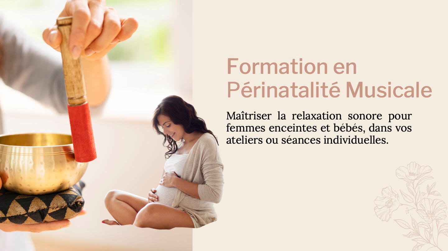 Représentation de la formation : Périnatalité Musicale