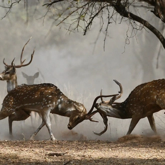 tourhub | Holidays At | North India Tour with Varanasi 