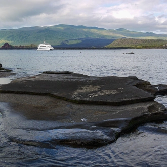 tourhub | G Adventures | Galápagos — North, West & Central Islands aboard the Yolita 