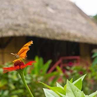 tourhub | Signature DMC | Unique Amazon Sustaintable Comunities Encounter in Ecuador 