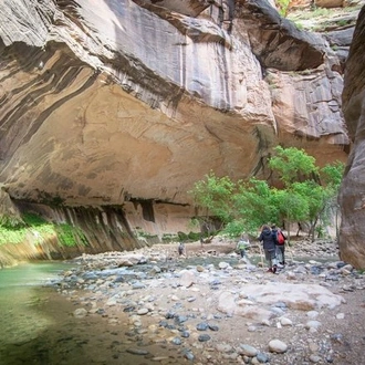 tourhub | Cosmos | Exploring America's National Parks 