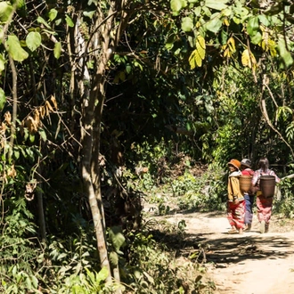 tourhub | Today Voyages | Cambodia – The Active Way from the Capital to Angkor Wat 