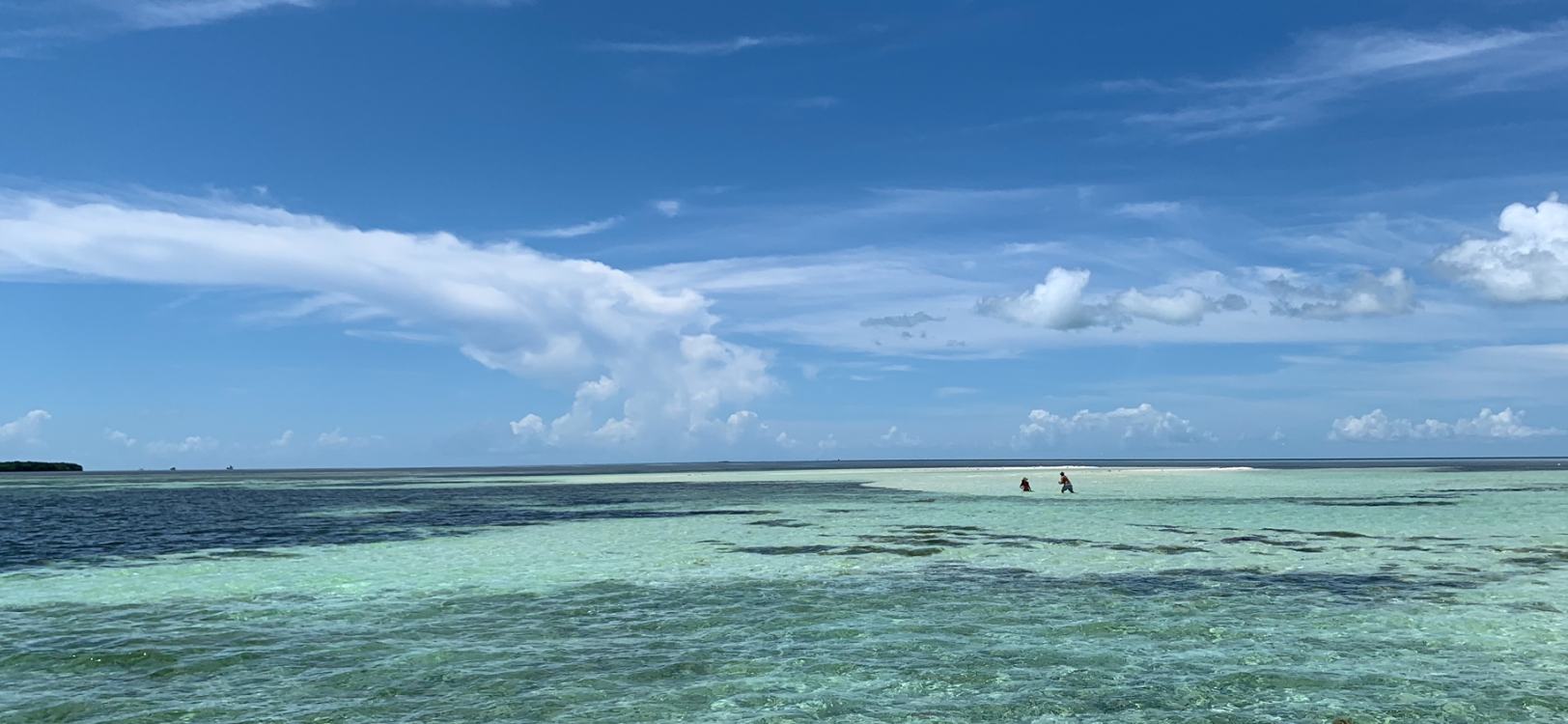 Sandbar Excursion!