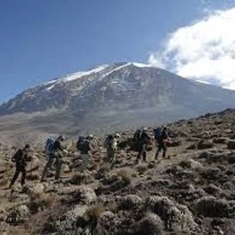 tourhub | Eddy tours and safaris | 7 Days Kilimanjaro climb via Umbwe Route. 