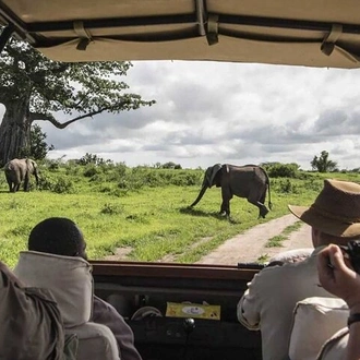 tourhub | Gracepatt Ecotours Kenya |  6 Days Rift Valley Lakes and Masai Mara Safari on 4x4 Jeep 