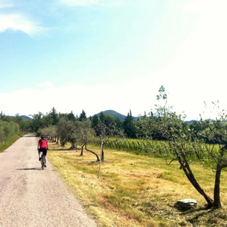 tourhub | Exodus Adventure Travels | Tuscany: Cycle Siena & Chianti 