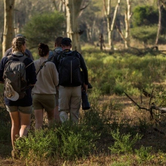 tourhub | G Adventures | South Africa: Kruger Wildlife Tracking & Vineyards 