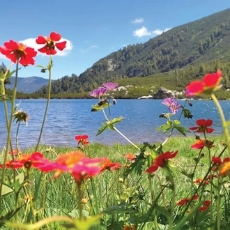 tourhub | Travel Editions | Alpine Wildflowers of Bulgaria Tour 