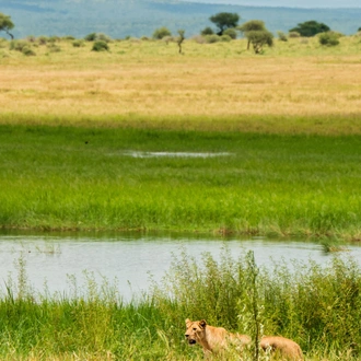 tourhub | Beach and Safari Holidays | Serengeti Inside Out 