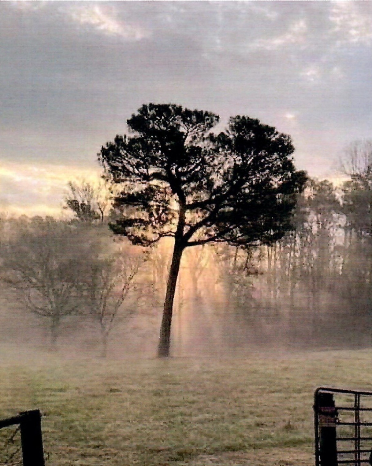 Joyners Funeral Home And Crematory Wilson Nc