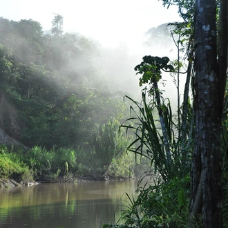 tourhub | Bamba Travel | Rio to the Amazon Air-Expedition 16D/15N 