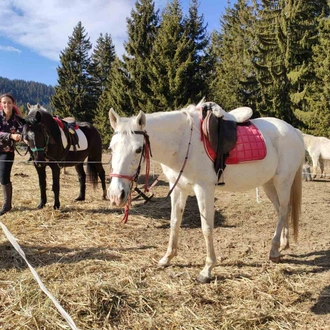 tourhub | Visit Bulgaria On | Private 2-Day Horse Riding Trip in Rila from Sofia 