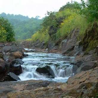 tourhub | Agora Voyages | Pune to Bhimashankar Jyotirlinga 