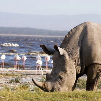 tourhub | Gracepatt Ecotours Kenya | Private 10 Days Best of Kenya Wildlife Safari Holiday 