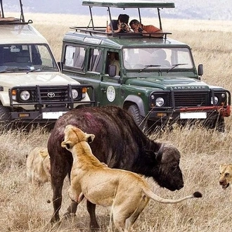 tourhub | Gracepatt Ecotours Kenya | 11 Days Best of Kenya & Tanzania Big 5 Safari on 4x4 Jeep 