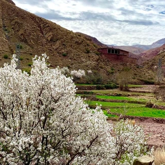 tourhub | Explore! | Cycle Morocco - Atlas to the Sahara 