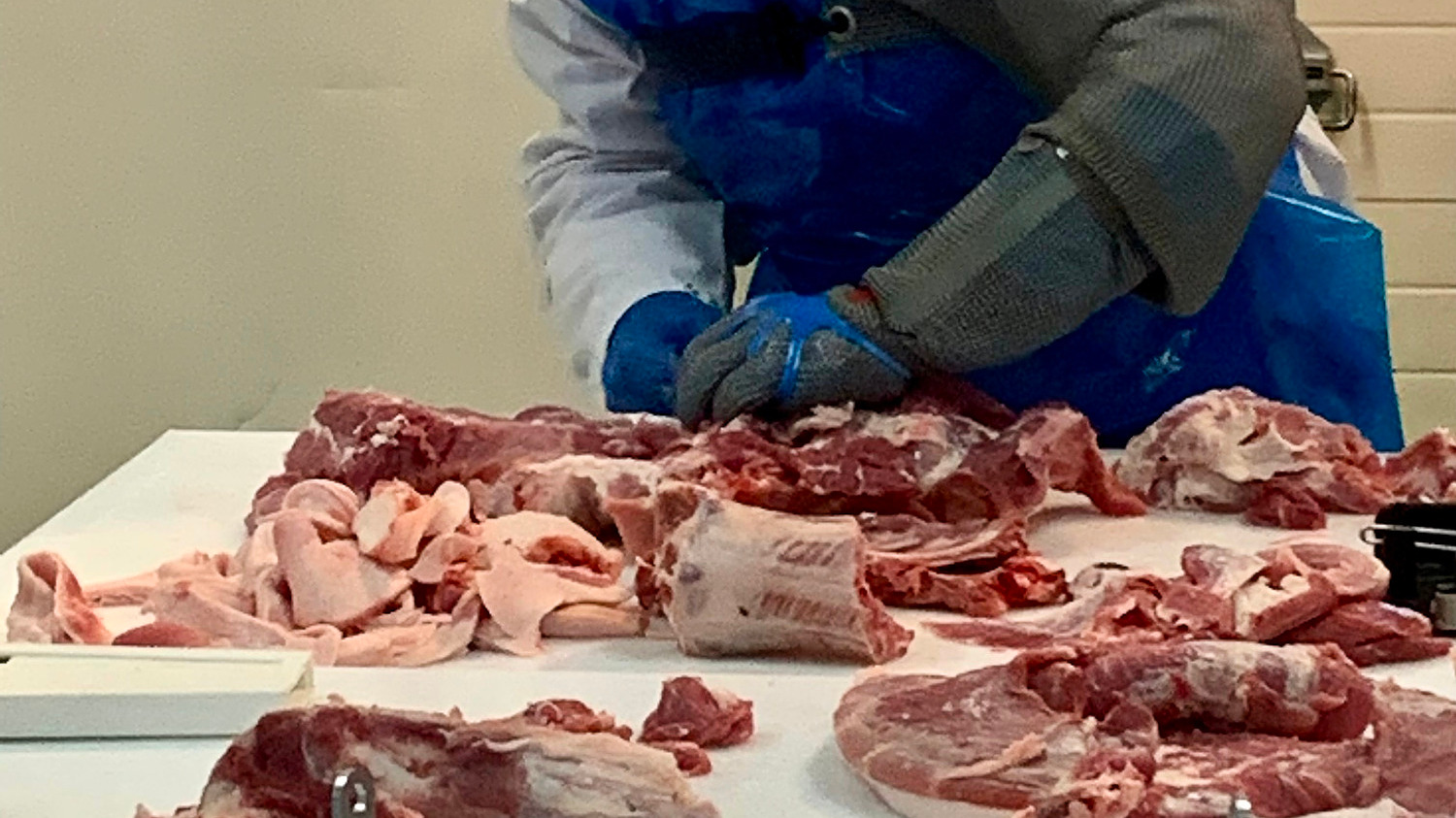 Training representation : Contrôles qualité en amont du hachage/ cutterage  des matières premières porc
