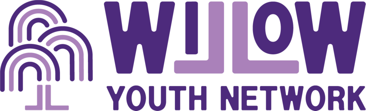 Willow Youth Network logo