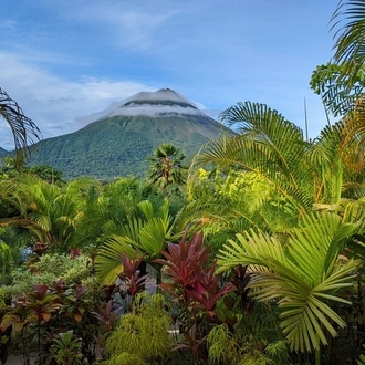 tourhub | Culture Trip | The Real Costa Rica 