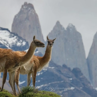 tourhub | Signature DMC | 8-Days Unique Experience in Easter Island & Chilean Patagonia 