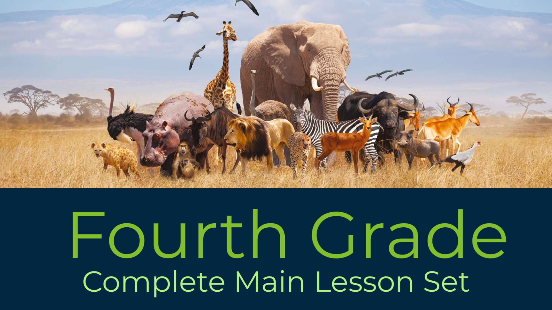 Fourth Grade Math: Lesson One | The BEarth Institute