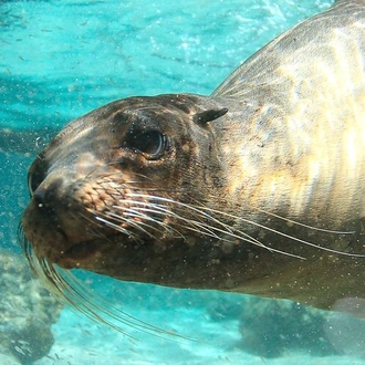 tourhub | Intrepid Travel | Galapagos Explorer: Southern Islands (Grand Queen Beatriz) 