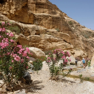 tourhub | Crooked Compass | Promised Land &#8211; Jordan and Israel 