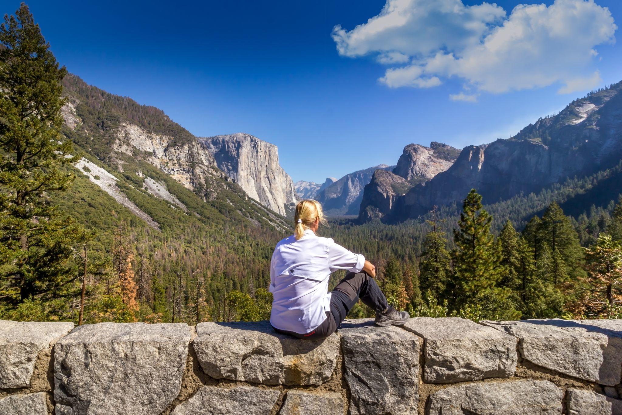 Yosemite and Giant Sequoias One-Day Tour from San Francisco image 1