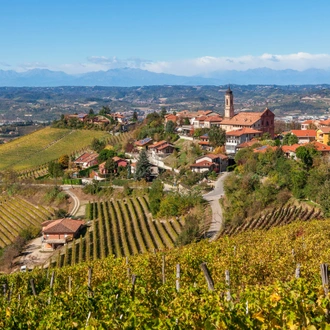 tourhub | Exodus Adventure Travels | Barolo Gastronomic Cycling 