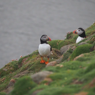 tourhub | Exodus Adventure Travels | Arctic Saga: Spitsbergen, Faroes & Jan Mayen 