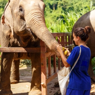 tourhub | The Dragon Trip | 14-day Thailand to Laos Tour 