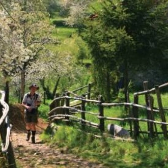 tourhub | Walkers' Britain | Walking in Tuscany's Apuane Alps 