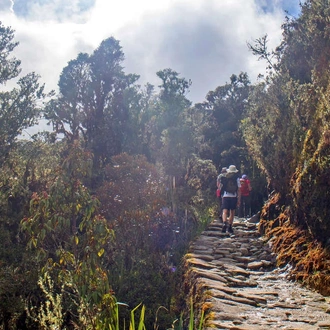 tourhub | Explore! | Inca Trail Trek 