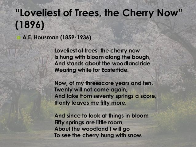 80 Beautiful Poems About Nature